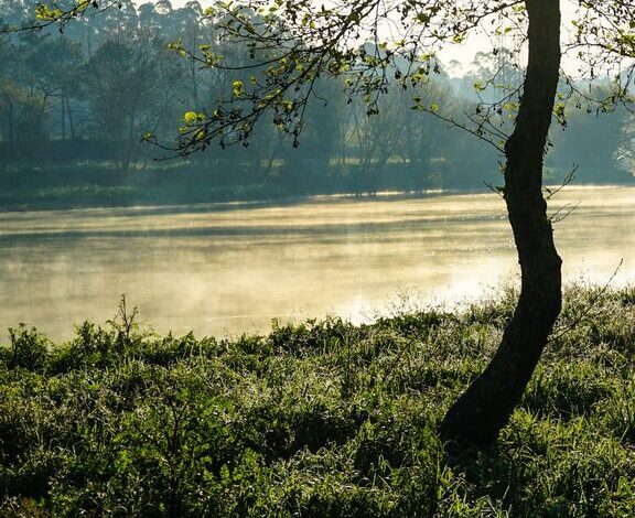 Ideas for Peaceful Weekend Mornings to Start Your Day Right