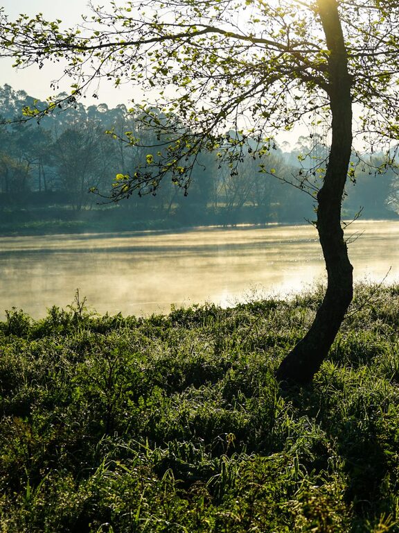 Ideas for Peaceful Weekend Mornings to Start Your Day Right