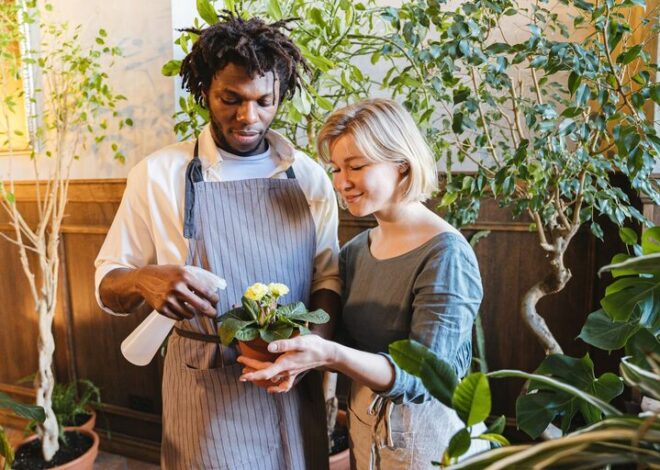 Essential Tips for Keeping Your Houseplants Healthy and Thriving