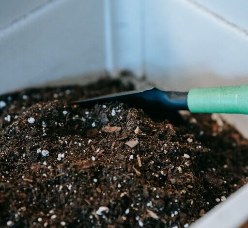 Beginner Tips for Composting at Home: A Simple Guide